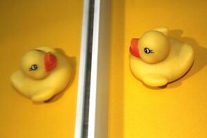 Rubber ducks that are faced with a mirror and pose as if they are facing each other photo