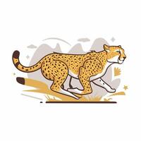 Cheetah illustration of cartoon cheetah in various actions, sitting, standing, walking, running. Isolated on white background vector