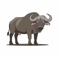 buffalo in flat style isolated on white background vector