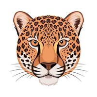 Cheetah illustration of cartoon cheetah in various actions, sitting, standing, walking, running. Isolated on white background vector