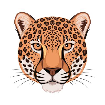 Cheetah illustration of cartoon cheetah in various actions, sitting, standing, walking, running. Isolated on white background