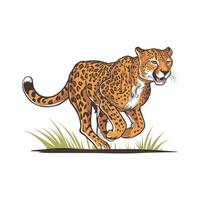 Cheetah illustration of cartoon cheetah in various actions, sitting, standing, walking, running. Isolated on white background vector