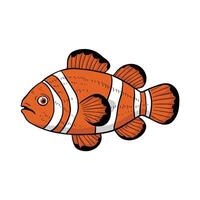 Cute cartoon clownfish. flat illustration white background vector