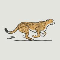 Cheetah illustration of cartoon cheetah in various actions, sitting, standing, walking, running. Isolated on white background vector