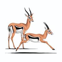 Cute antelope stands on a white background in cartoon style. illustration with African animal. vector