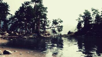 A body of water surrounded by trees and rocks video