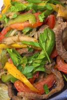 Fried meat with the vegetables and the verdure photo