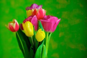 Blossoming tulips in a vase. Colourful flowers photo