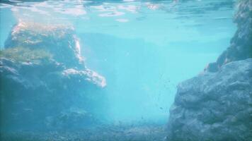 An underwater view of a coral reef with a boat in the background video