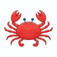 Colorful red crab illustration. Sea creature in flat design. Shell crab icon isolated on white background. vector