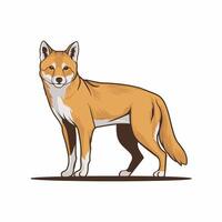 Dingo. Isolated illustration white background vector