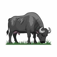 buffalo in flat style isolated on white background vector