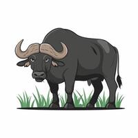 buffalo in flat style isolated on white background vector