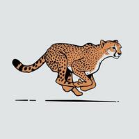 Cheetah illustration of cartoon cheetah in various actions, sitting, standing, walking, running. Isolated on white background vector