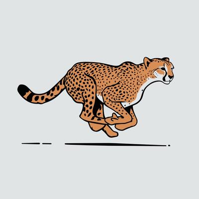 Cheetah illustration of cartoon cheetah in various actions, sitting, standing, walking, running. Isolated on white background