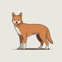 Dingo. Isolated illustration white background vector