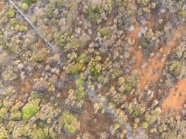 Top shot aerial over an island in the Caribbean photo