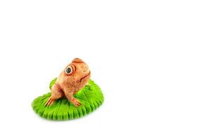 Green frog toy on white photo