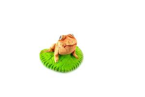 Green frog toy on white photo