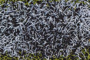 white line on soccer field grass photo