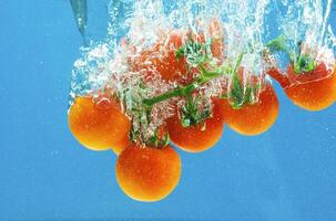 Vegetables in water photo