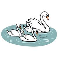 cisnes ilustración aislado en blanco antecedentes vector