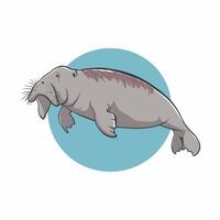 Cute cartoon dugong isolated on white background. Hand drawn illustration of Sea cow. vector