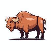 buffalo in flat style isolated on white background vector