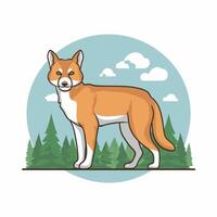 Dingo. Isolated illustration white background vector