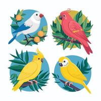 cacatúa loro sentado en desalmuerzo. vistoso exótico pájaro con naranja cresta en dibujos animados estilo ilustración en blanco antecedentes. vector