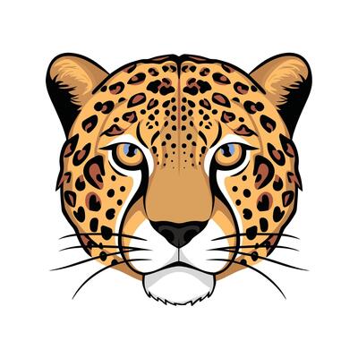 Cheetah illustration of cartoon cheetah in various actions, sitting, standing, walking, running. Isolated on white background