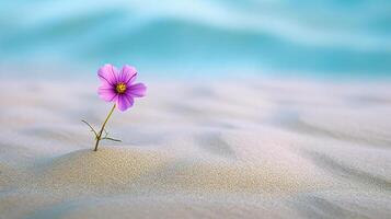 a clean composition depicting a single, vibrantly colored flower blooming amidst a vast expanse desert sand photo