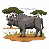 buffalo in flat style isolated on white background vector