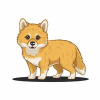 Dingo. Isolated illustration white background vector