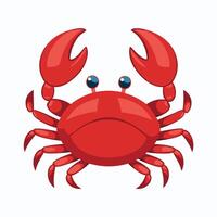 Colorful red crab illustration. Sea creature in flat design. Shell crab icon isolated on white background. vector