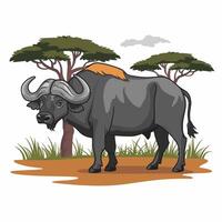 buffalo in flat style isolated on white background vector