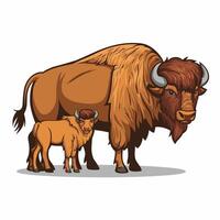 bison flat illustration on white background vector