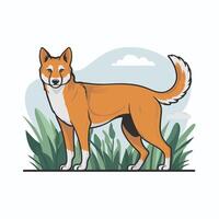 dingo. aislado ilustración blanco antecedentes vector