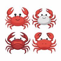 Colorful red crab illustration. Sea creature in flat design. Shell crab icon isolated on white background. vector