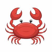 Colorful red crab illustration. Sea creature in flat design. Shell crab icon isolated on white background. vector