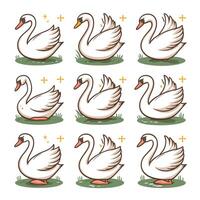 swans illustration isolated on white background vector