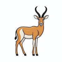 Cute antelope stands on a white background in cartoon style. illustration with African animal. vector