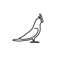 Cockatoo parrot line icon. Bird pet linear illustration. Outline corella vector