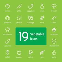 Set of modern thin line vegetable icons on green background. Tomato, eggplant, celery, zucchini and other symbols for web or mobile app vector