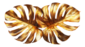 dourado monstera folha em uma transparente fundo png