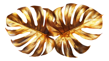 Golden monstera leaf on a transparent background png