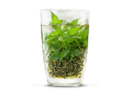 Nettle Tea Nutritive nettle tea in a clear glass with nettle leaves and a healthful png