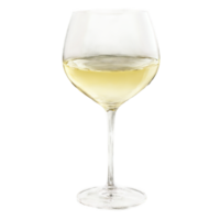 Lenox Tuscany Classics Pinot Grigio glass elegant pulled stem slender bowl pale straw colored wine png