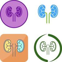 Kidney Icon Design vector