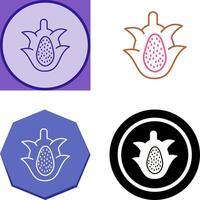 Dragon Fruit Icon Design vector